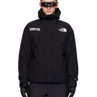 ザノースフェイス(THE NORTH FACE)のTHE NORTH FACE mountain jacket GORE-TEX(マウンテンパーカー)