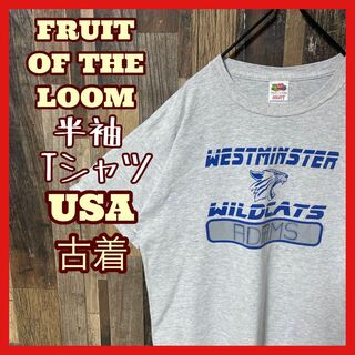 フルーツオブザルーム(FRUIT OF THE LOOM)のグレー チームロゴ L フルーツオブザルーム メンズ　USA古着 半袖 Tシャツ(Tシャツ/カットソー(半袖/袖なし))