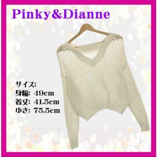 Pinky&Dianne - ✨【美品】ピンキーアンドダイアン ニット トップス 長袖 Vネック シンプル