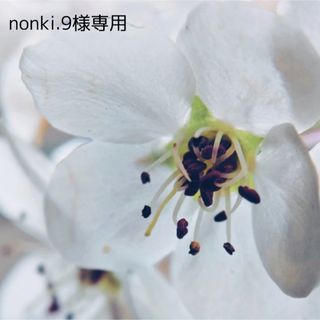 nonki.9様専用(ロングワンピース/マキシワンピース)