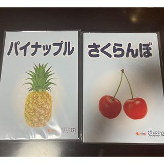 ベビーパーク　果物　オリジナルピクチャーブックレット　20冊(知育玩具)
