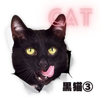 車用　ステッカー　黒猫　ねこ　カーステッカー　車　猫　シール  cat　PC