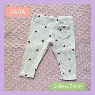 ZARA KIDS - ZARA baby ザラ ベビー てんとう虫 レギンス 6-9m 74cm