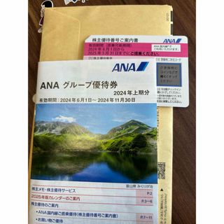 エーエヌエー(ゼンニッポンクウユ)(ANA(全日本空輸))のANA 株主優待(その他)