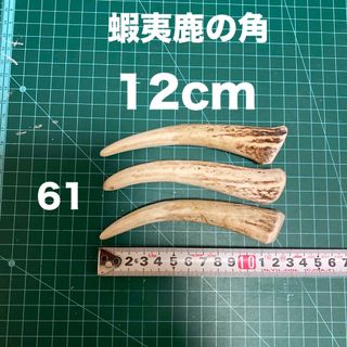 鹿の角　鹿のツノ　鹿角　鹿ツノ　シカツノ　蝦夷鹿　おもちゃ　角　犬用品　犬(犬)