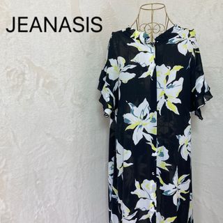 JEANASIS - JEANASIS ジーナシス　総花柄シフォンロングワンピース　大きいサイズ　
