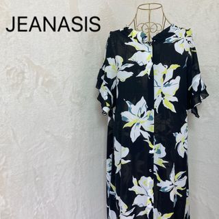 JEANASIS ジーナシス　総花柄シフォンロングワンピース　大きいサイズ　