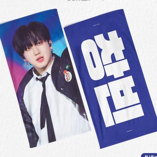 ストレイキッズ(Stray Kids)のチャンビン スローガン (アイドルグッズ)