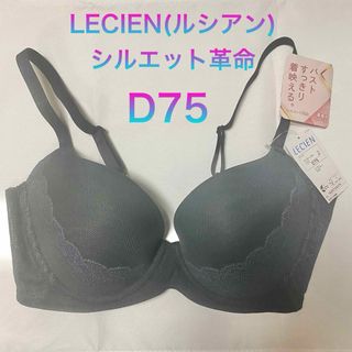 【新品未使用】LECIEN ルシアン シルエット革命 ワイヤーブラ D75(ブラ)