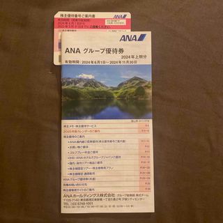 ANA 株主優待券 1枚 有効期限 2025.05.31(その他)