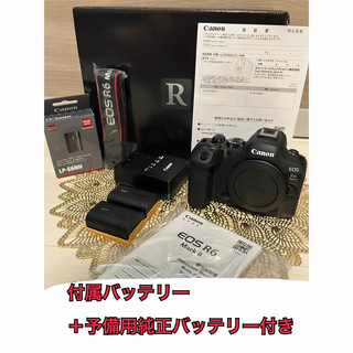 キヤノン(Canon)のCanon EOS R6 Mark Ⅱ ボディ(ミラーレス一眼)
