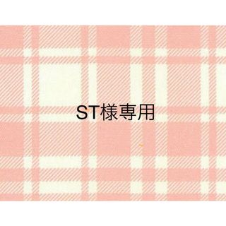 【ST様専用】(その他)