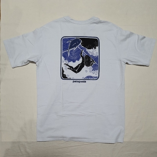 patagonia - 美品 パタゴニア レスポンシビリティー S 水色 半袖Tシャツ