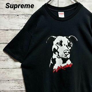 Supreme - a243【入手困難】シュプリーム　ビッグロゴ　ピットブル　レア　半袖Tシャツ