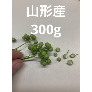 山形県産 山椒の実 無農薬　300g(野菜)