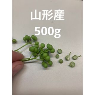 山形県産 山椒の実 無農薬　500g(野菜)