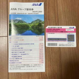 エーエヌエー(ゼンニッポンクウユ)(ANA(全日本空輸))のANA 株主優待(その他)