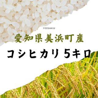 お米5キロ 愛知県美浜町産 コシヒカリ(米/穀物)