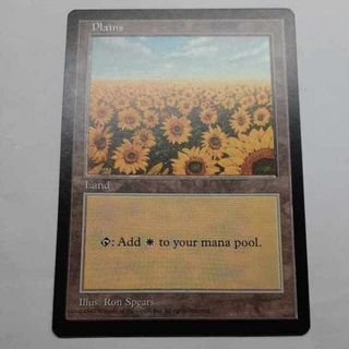 マジックザギャザリング(マジック：ザ・ギャザリング)のMTG APACランド 　平地　ひまわり(シングルカード)