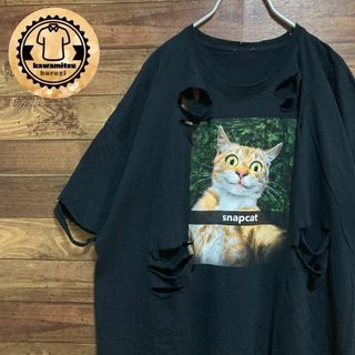 6405 ボロtシャツ ダメージ　アニマル　猫　2XL相当　黒(Tシャツ/カットソー(半袖/袖なし))