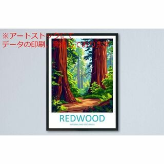 mz ポスター A3 (A4も可) レッドウッド国立公園 トラベル ウォールアー(印刷物)