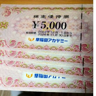 早稲田アカデミー　株主優待　20000円