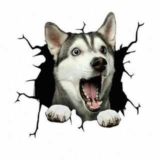 シベリアンハスキー カーステッカー 犬 3D シール 傷隠し 壁紙 防水(車外アクセサリ)