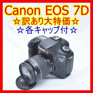 キヤノン(Canon)の❤Canon EOS 7D❤ 一眼レフ レンズキット(デジタル一眼)