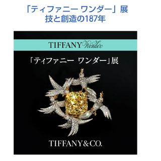 ティファニー(Tiffany & Co.)の【本日限り】ティファニーワンダー展 ペアチケット2枚 クーポンコード(その他)