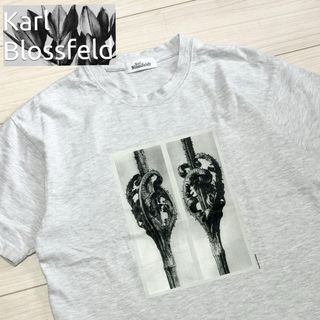 良品■karl blossfeldt■アート Tシャツ LOEWE 写真家 S(Tシャツ/カットソー(半袖/袖なし))