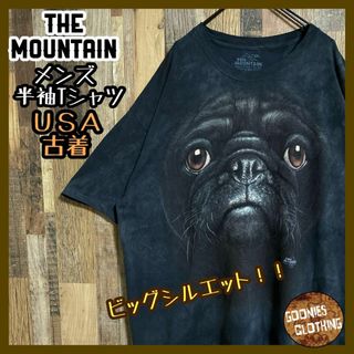 ザノースフェイス(THE NORTH FACE)のザマウンテン Tシャツ タイダイ 染め アニマル 犬 パグ XXL USA古着(Tシャツ/カットソー(半袖/袖なし))