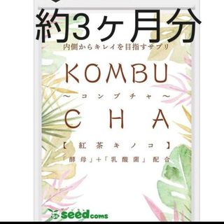 コンブチャ約3ヶ月分　KOMBUCHA　菌活　腸活　ダイエット