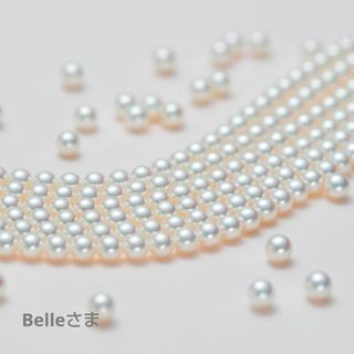 Belleさま　リクエスト