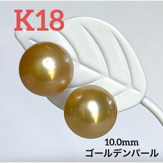 新品　K18  希少 天然色  南洋ゴールデンパール 10.0mm ピアス(ピアス)