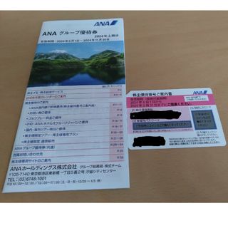 エーエヌエー(ゼンニッポンクウユ)(ANA(全日本空輸))のANA 株主優待(その他)