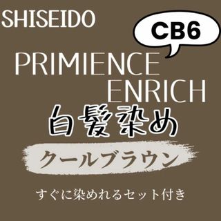  ダメージケア 前処理剤 後処理剤 ヘアカラー セット 資生堂 CB6 白髪染め(白髪染め)