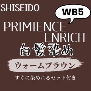  ダメージケア 前処理剤 後処理剤 ヘアカラー セット 資生堂 WB5 白髪染め(白髪染め)