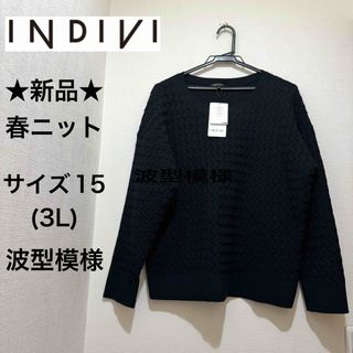 INDIVI - ★新品★INDIVI　洗える　春ニット　コットン　波型ウェーブ模様　大きいサイズ