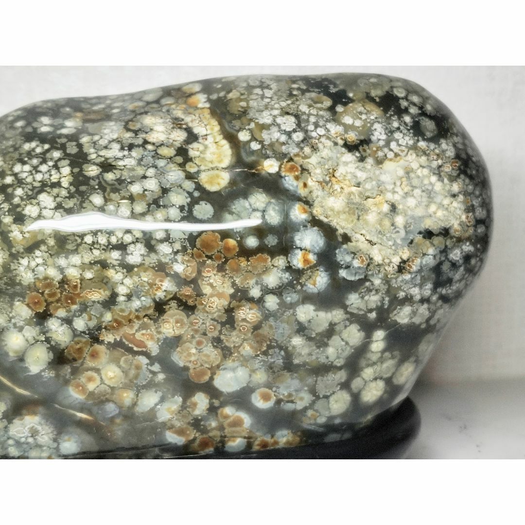 梅花石 4.4kg 紋石 花紋石 孔雀石 菊花石 原石 鑑賞石 自然石 水石