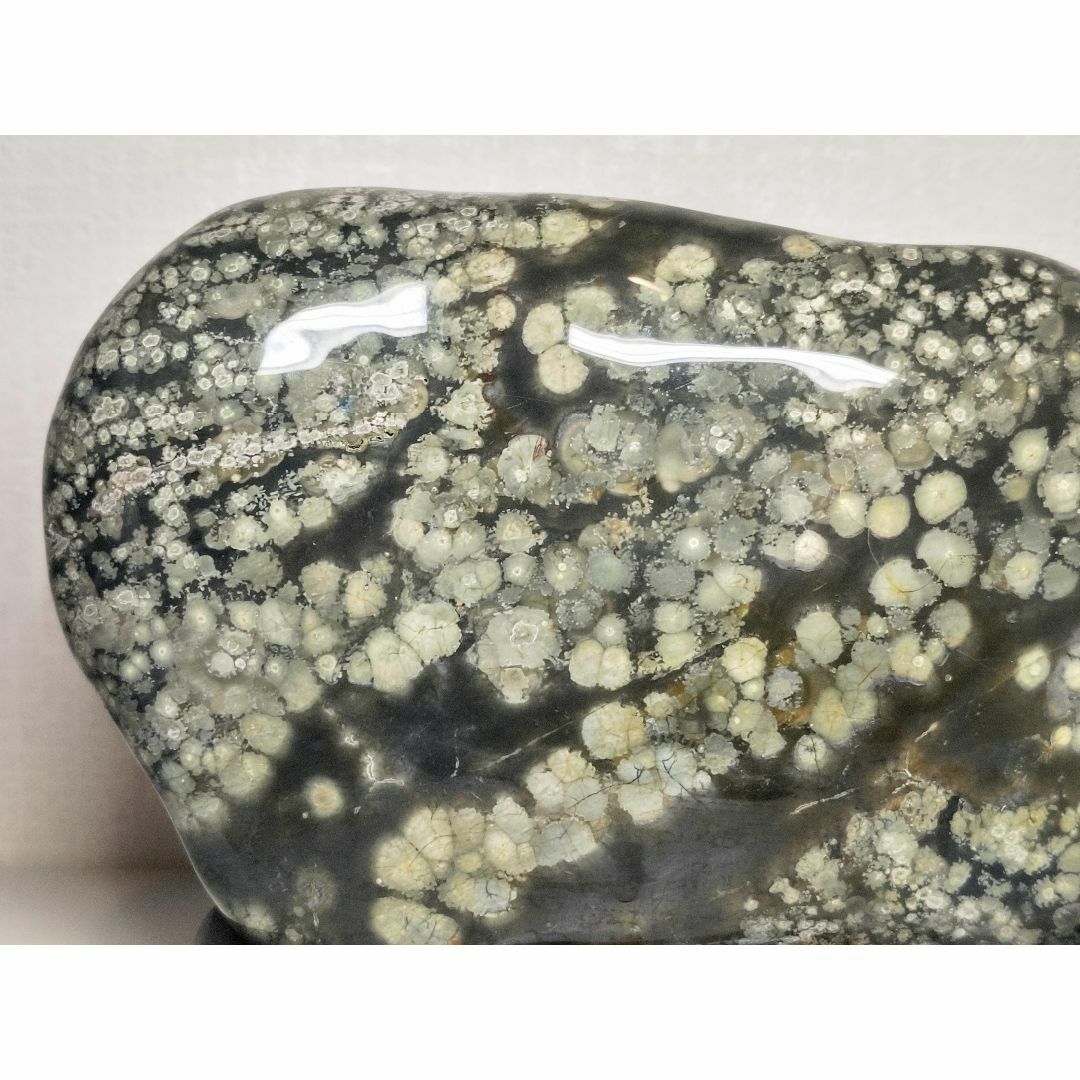 梅花石 4.4kg 紋石 花紋石 孔雀石 菊花石 原石 鑑賞石 自然石 水石