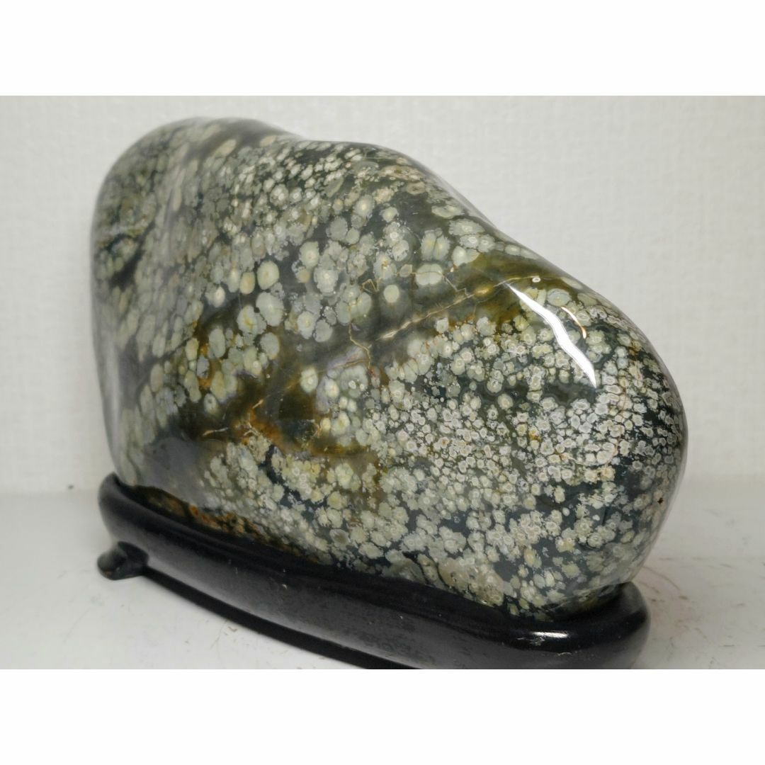 梅花石 4.4kg 紋石 花紋石 孔雀石 菊花石 原石 鑑賞石 自然石 水石