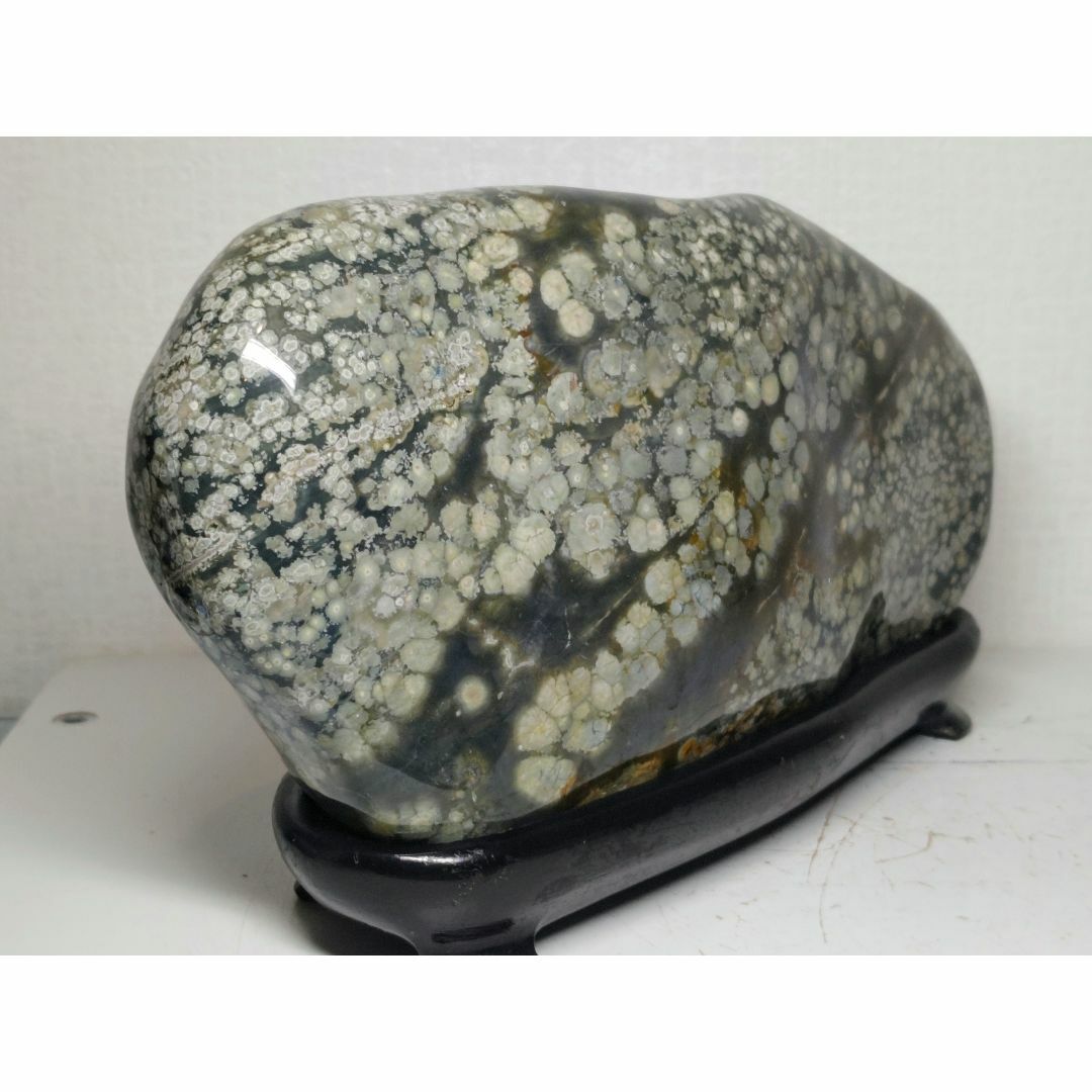 梅花石 4.4kg 紋石 花紋石 孔雀石 菊花石 原石 鑑賞石 自然石 水石