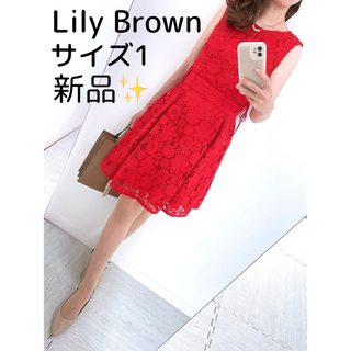 Lily Brown - 【新品✨】リリーブラウン❤️サイズ1（S）総レースワンピース✨レッド