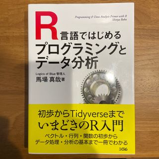 Ｒ言語ではじめるプログラミングとデータ分析(コンピュータ/IT)