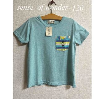 センスオブワンダー(sense of wonder)のセンスオブワンダー  Tシャツ　120(Tシャツ/カットソー)