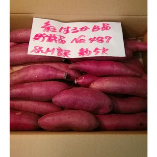 超お得!!　訳あり☆限定品☆ねっとり甘い貯蔵品紅はるかB品約５Kです。(野菜)