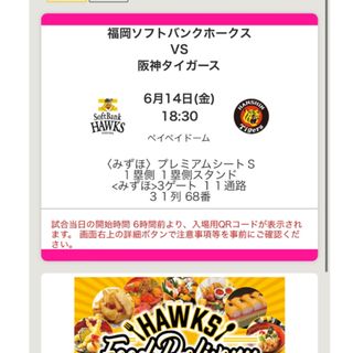 ソフトバンクVSタイガース6.14(金)18:30 ペイペイドーム チケット２枚