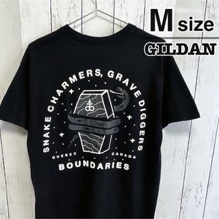 ギルタン(GILDAN)のUSA古着　GILDAN　Tシャツ　M　ブラック　プリント　ロゴ　蛇　スネーク(Tシャツ/カットソー(半袖/袖なし))