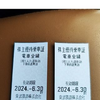 東武鉄道　乗車券　株主優待　２枚セット