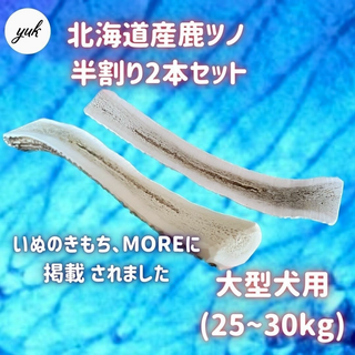 【送料無料】大型犬用　半割り　2本セット　北海道産エゾ鹿の角　犬のおもちゃ